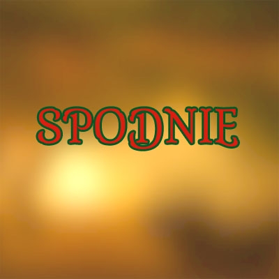 SPODNIE