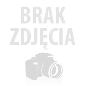 naszyjnik z czarnym krukiem