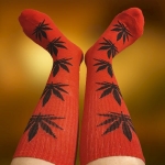 Skarpety Bawełniane Czerwone z Czarnymi Liśćmi Konopi Unisex