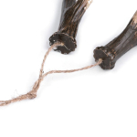 poroże na biżuterię, antlers for jewelry.