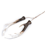 poroże na biżuterię, antlers for jewelry.