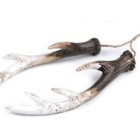 poroże na biżuterię, antlers for jewelry.