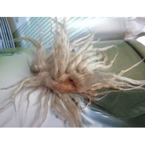 Wielki Guzik Reggae z Dreadami 8 cm OOAK Broszka